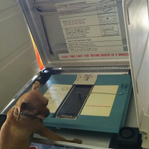 Vote Every Day at Denver Art Museum